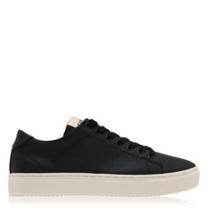 Damon Trainers